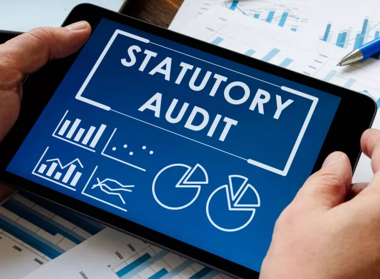 Statutory Audit